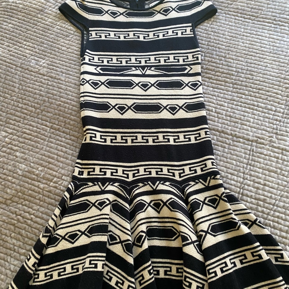 Alice and Olivia Dress